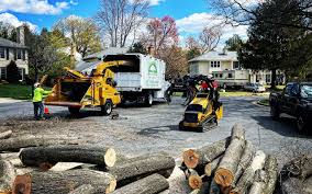 Best Aeration Services  in Troy, PA
